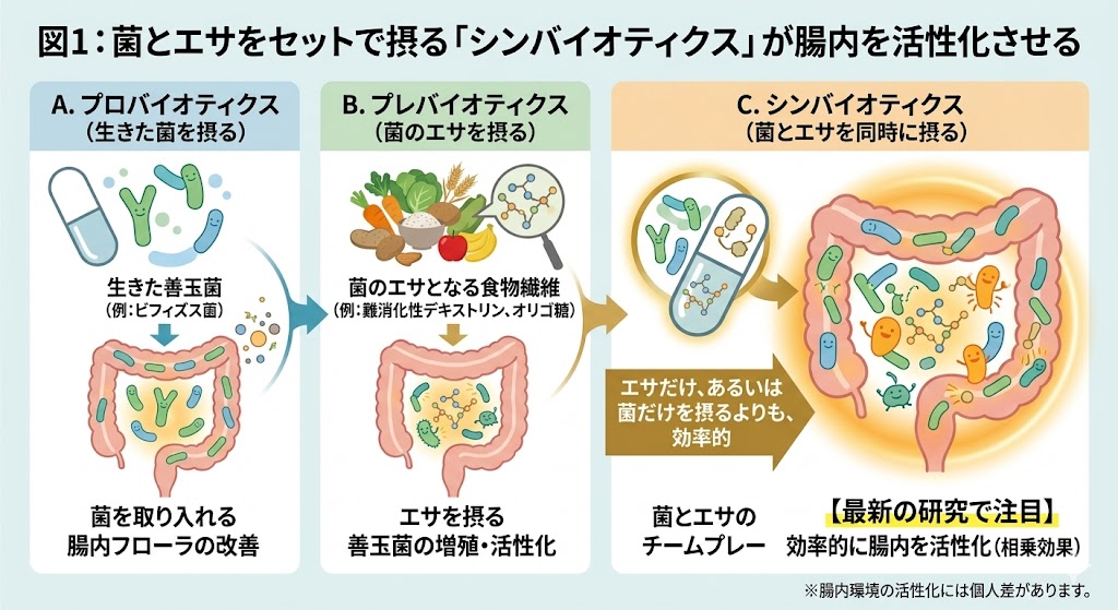 シンバイオティクスの概念図